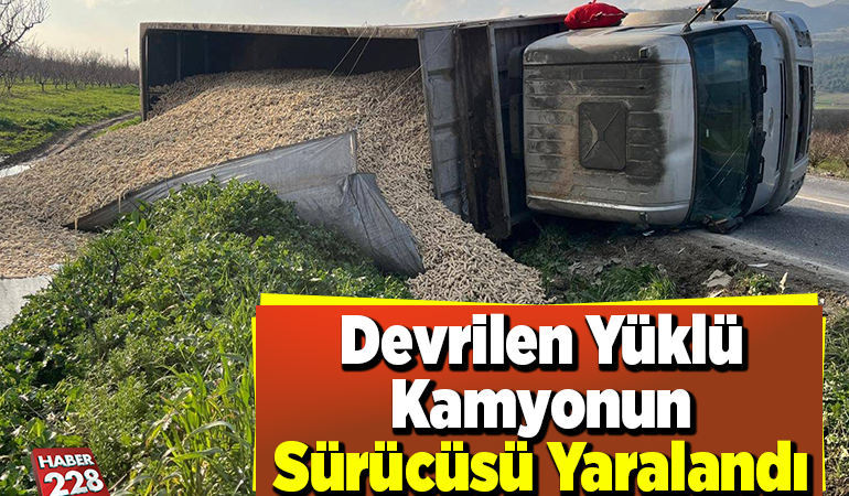 Bilecik’te devrilen yüklü kamyonun sürücüsü yaralandı