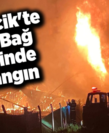 Bilecik'te iki bağ evinde yangın