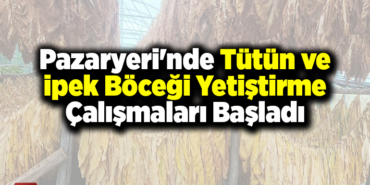 Pazaryeri'nde tütün ve ipek böceği yetiştirme çalışmaları başladı