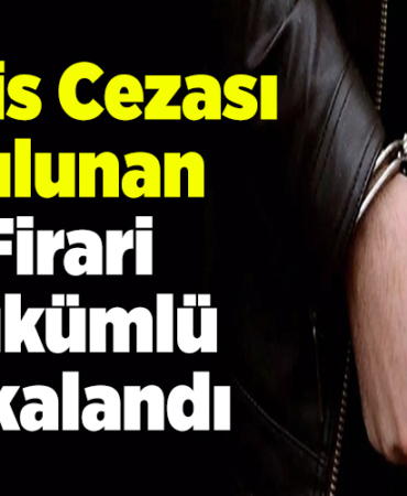 Bilecik'te 2 firari hükümlü yakalandı