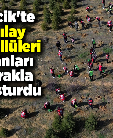 Bilecik'te Kızılay gönüllüleri fidanları toprakla buluşturdu