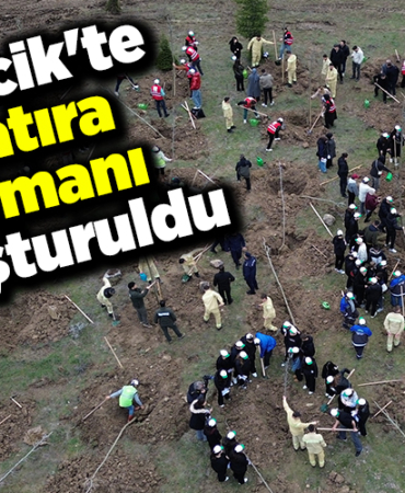 Bilecik'te Şeyh Edebali Hatıra Ormanı oluşturuldu