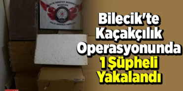 Bilecik'te kaçakçılık operasyonunda 1 şüpheli yakalandı