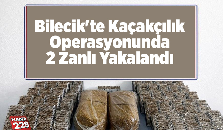 Bilecik’te kaçakçılık operasyonunda 2 zanlı yakalandı