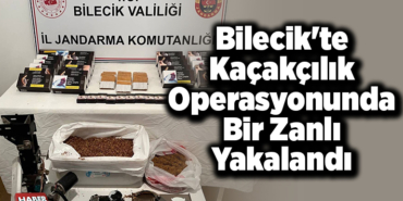 Bilecik'te kaçakçılık operasyonunda bir zanlı yakalandı