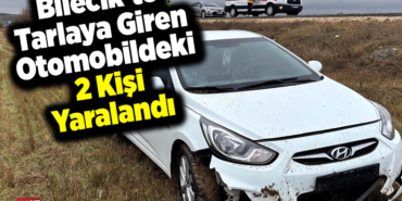 Bilecik'te tarlaya giren otomobildeki 2 kişi yaralandı