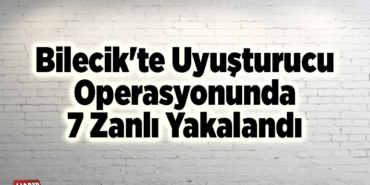 Bilecik'te uyuşturucu operasyonunda 7 zanlı yakalandı
