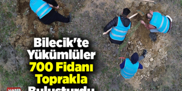 Bilecik'te yükümlüler 700 fidanı toprakla buluşturdu