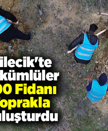 Bilecik'te yükümlüler 700 fidanı toprakla buluşturdu
