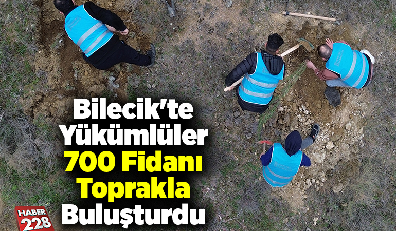 Bilecik’te yükümlüler 700 fidanı toprakla buluşturdu