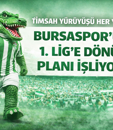 bursa