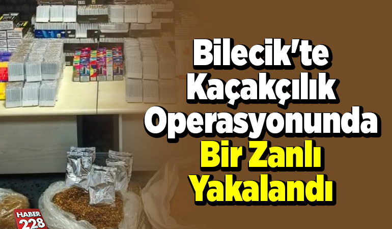 Bilecik’te kaçakçılık operasyonunda bir zanlı yakalandı