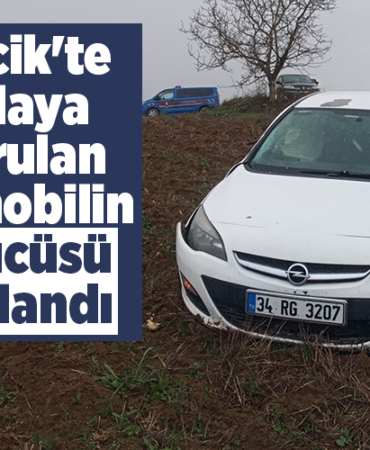Bilecik'te tarlaya savrulan otomobilin sürücüsü yaralandı
