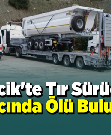 Bilecik'te tır sürücüsü aracında ölü bulundu