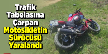 Trafik tabelasına çarpan motosikletin sürücüsü yaralandı