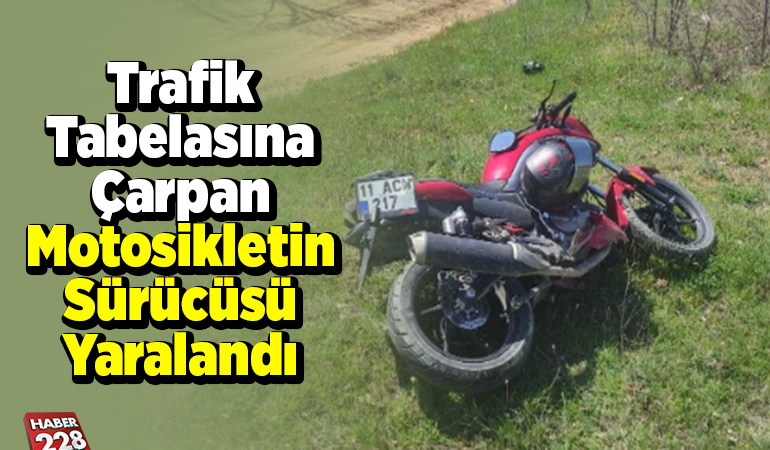 Trafik tabelasına çarpan motosikletin sürücüsü yaralandı