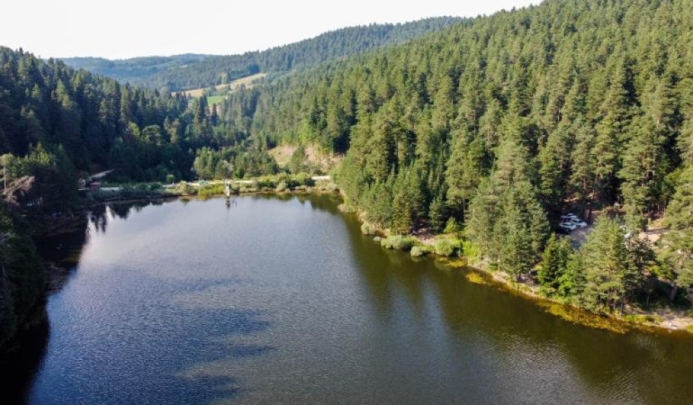 DOĞAYA AÇILAN SAVAŞ; ORMANSIZLAŞTIRMA