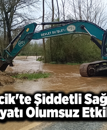 Bilecik'te şiddetli sağanak hayatı olumsuz etkiledi