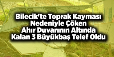 Bilecik'te toprak kayması nedeniyle çöken ahır duvarının altında kalan 3 büyükbaş telef oldu