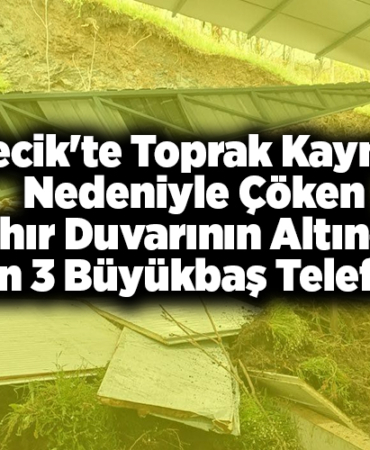 Bilecik'te toprak kayması nedeniyle çöken ahır duvarının altında kalan 3 büyükbaş telef oldu