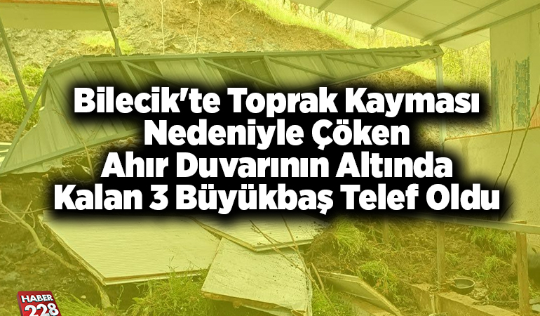Bilecik’te toprak kayması nedeniyle çöken ahır duvarının altında kalan 3 büyükbaş telef oldu