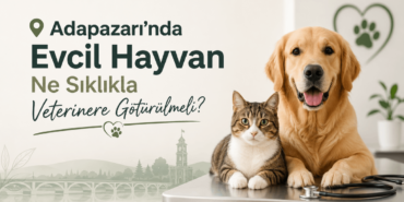 adapazarı veteriner