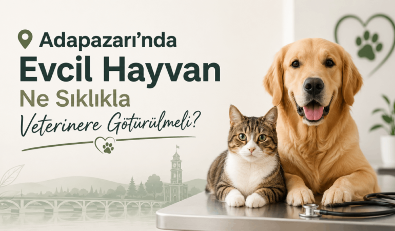 Sakarya’da Veterinere İlk Kez Gidenler İçin Rehber