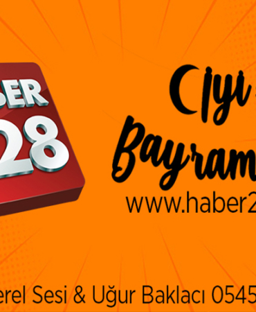 haber228.