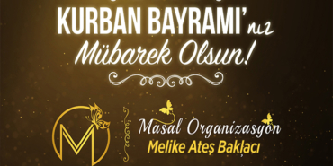 masal organizasyon
