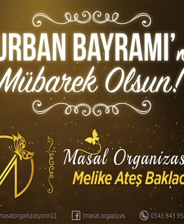 masal organizasyon