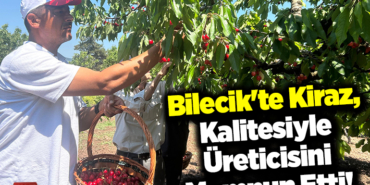 Bilecik'te Kiraz, Kalitesiyle Üreticisini Memnun Etti