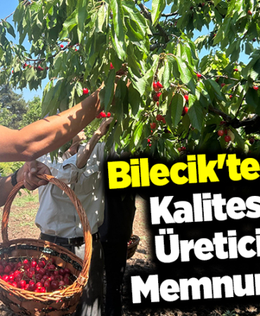 Bilecik'te Kiraz, Kalitesiyle Üreticisini Memnun Etti