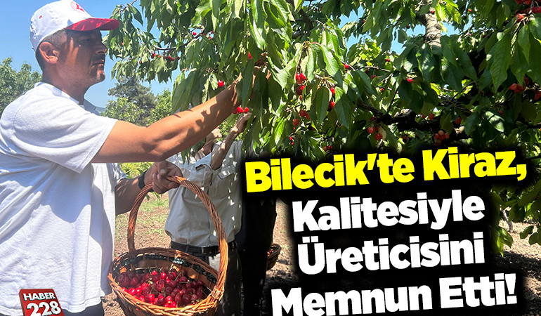 Bilecik’te Kiraz, Kalitesiyle Üreticisini Memnun Etti