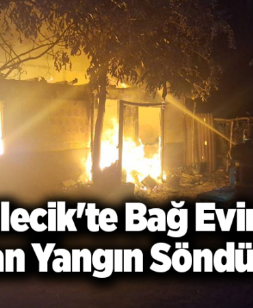 Bilecik'te bağ evinde çıkan yangın söndürüldü
