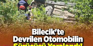 Bilecik'te devrilen otomobilin sürücüsü yaralandıI