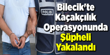 Bilecik'te kaçakçılık operasyonunda 1 zanlı yakalandı