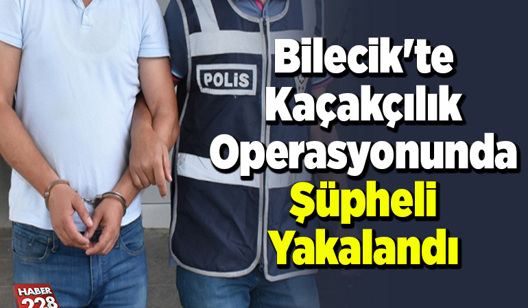Bilecik’te kaçakçılık operasyonunda 1 zanlı yakalandı