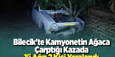 Bilecik'te kamyonetin ağaca çarptığı kazada 1'i ağır 2 kişi yaralandı