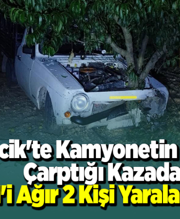 Bilecik'te kamyonetin ağaca çarptığı kazada 1'i ağır 2 kişi yaralandı