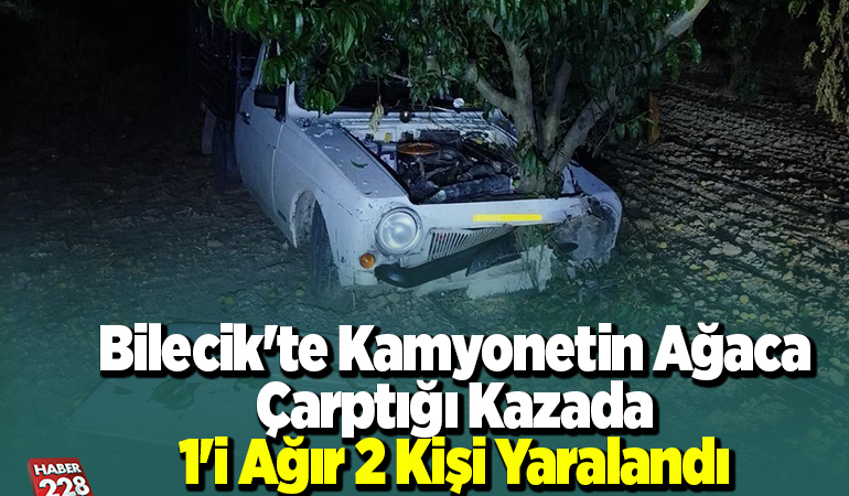 Bilecik’te kamyonetin ağaca çarptığı kazada 1’i ağır 2 kişi yaralandı