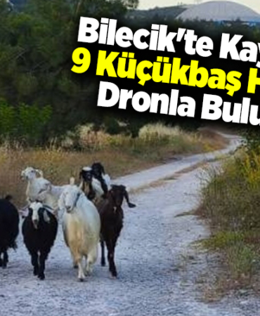 Bilecik'te kaybolan 9 küçükbaş hayvan dronla bulundu
