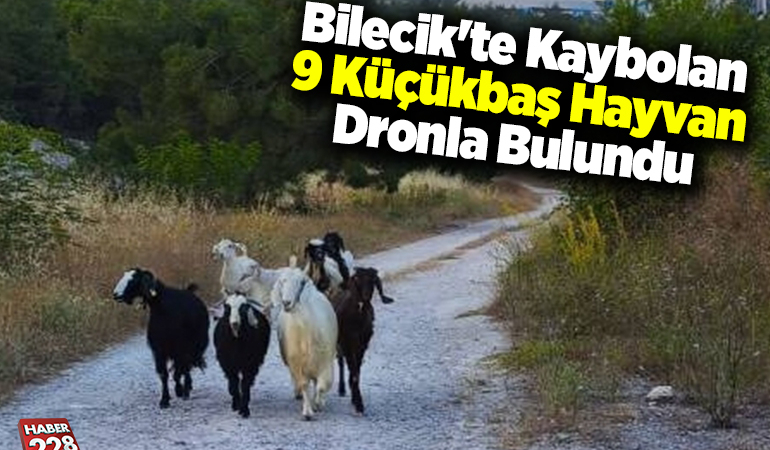 Bilecik’te kaybolan 9 küçükbaş hayvan dronla bulundu