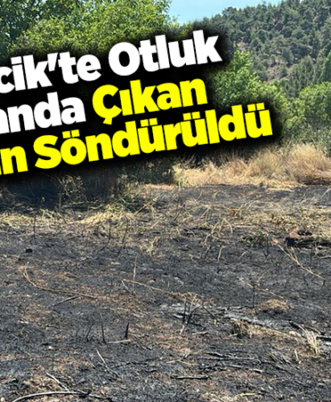 Bilecik'te otluk alanda çıkan yangın söndürüldü