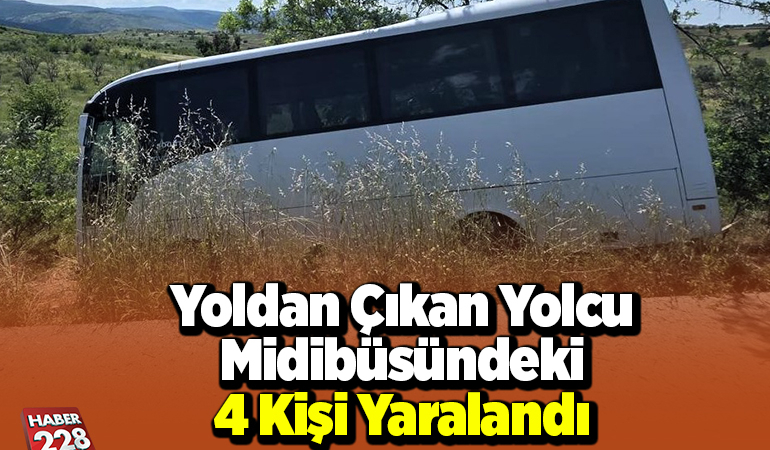 Yoldan çıkan yolcu midibüsündeki 4 kişi yaralandı