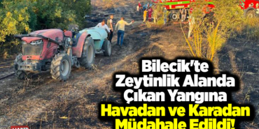 Bilecik'te zeytinlik alanda çıkan yangına havadan ve karadan müdahale edildi!