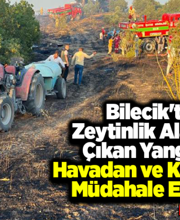 Bilecik'te zeytinlik alanda çıkan yangına havadan ve karadan müdahale edildi!