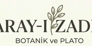 logo-header