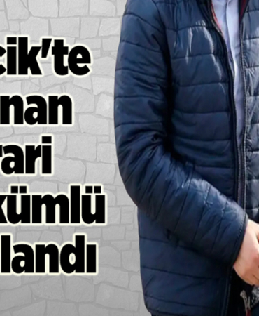 Bilecik'te 2 firari hükümlü yakalandı