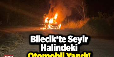 Bilecik'te Seyir Halindeki Otomobil Yandı!