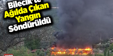 Bilecik'te ağılda çıkan yangın söndürüldü